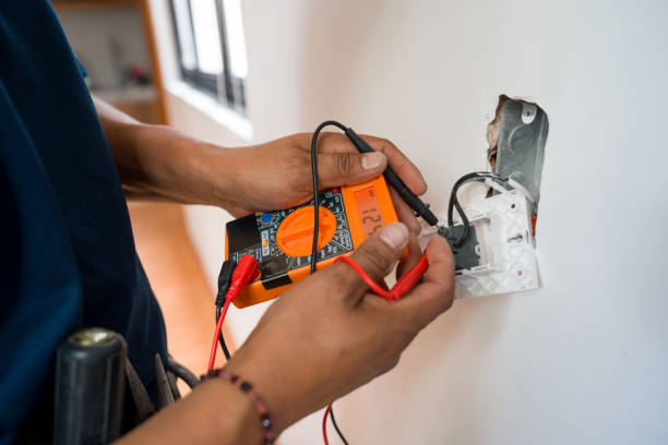 Best Electric Panel Repair  in Jasper, FL